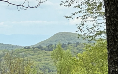 Livermore Peak