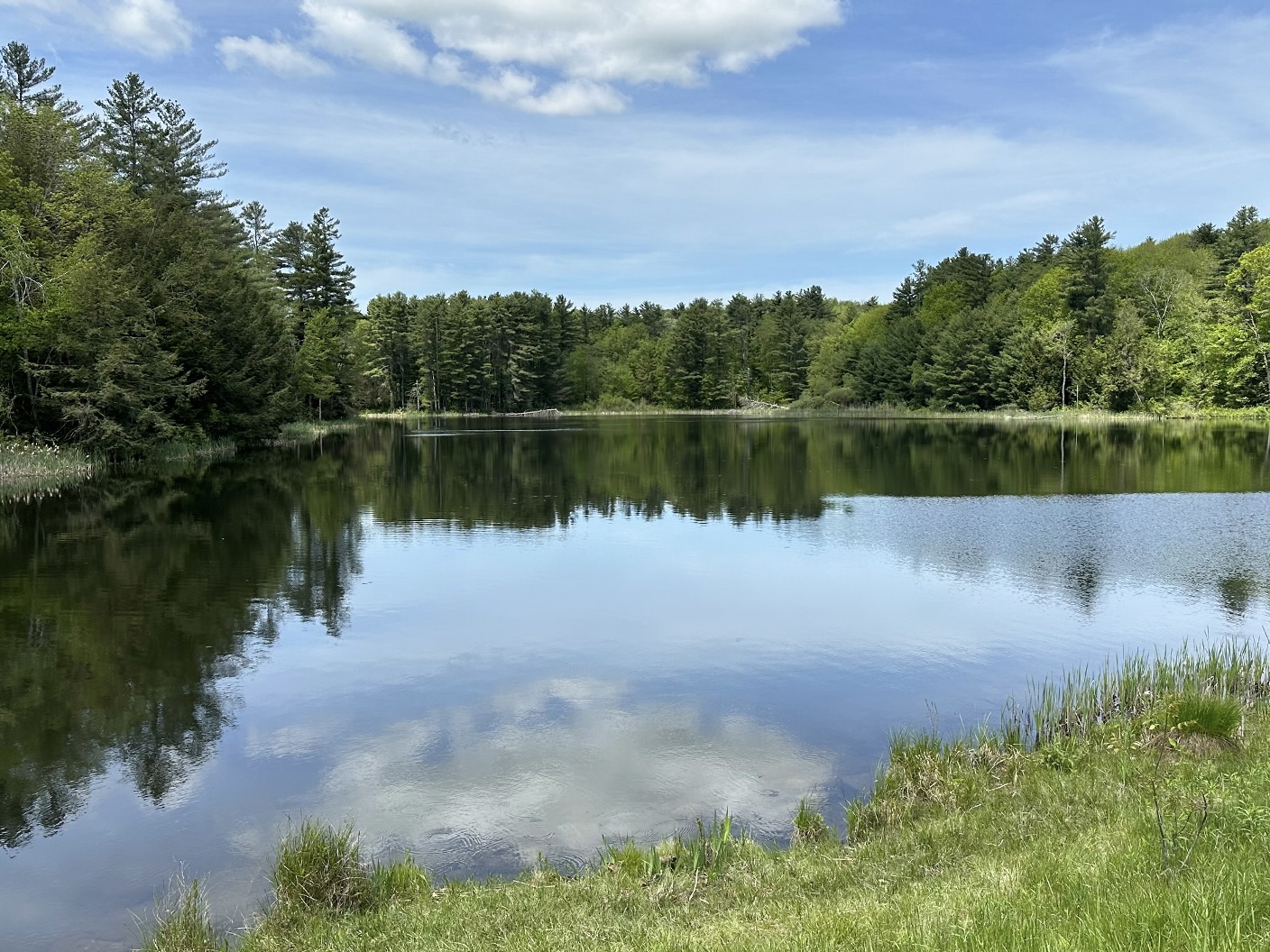 Brewer Pond